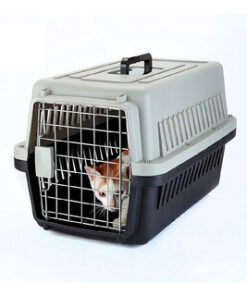 TRANSPORTADORA XL INSULATED 90 X 60 X68