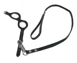 CONJ. ARNES Y CORREA CONEJO/COBAYO CUERO