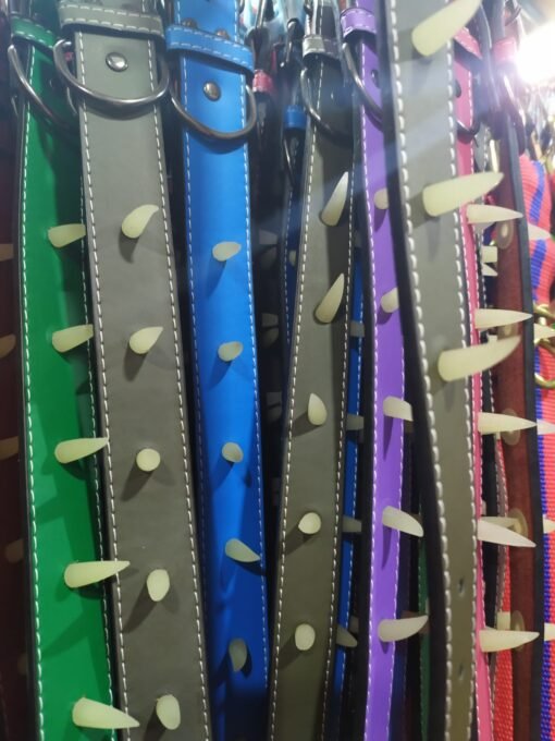 COLLAR 6 COLMILLOS 60 CM X 3 CM IMPORTADOR
