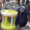 RATITA DE LATEX + SONAJERO C/CASCABEL