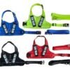 CONJ ARNES Y CORREA ROYAL PET TALLE M/L