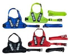 CONJ ARNES Y CORREA ROYAL PET TALLE M/L