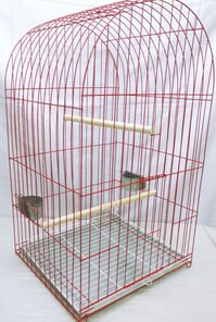 MINGO JAULA LORO GIGANTE 52X80X45 EPOXI HT