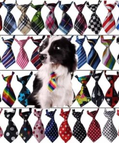 COLLAR CORBATA C/ STRASS X  UN IMPORTADOR