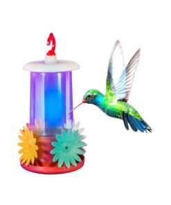 BEBEDERO COLIBRI OVALADO HT