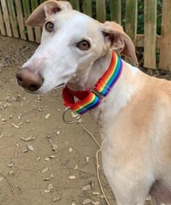 COLLAR DE GALGO SINTETICO DOBLE KUBIAK HT