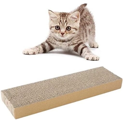 RASCADOR CARTON C/CAT NIP MILLEX