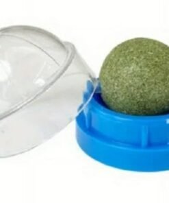 HIERBA GATERA CON TAPA Y AUTOHADESIVO