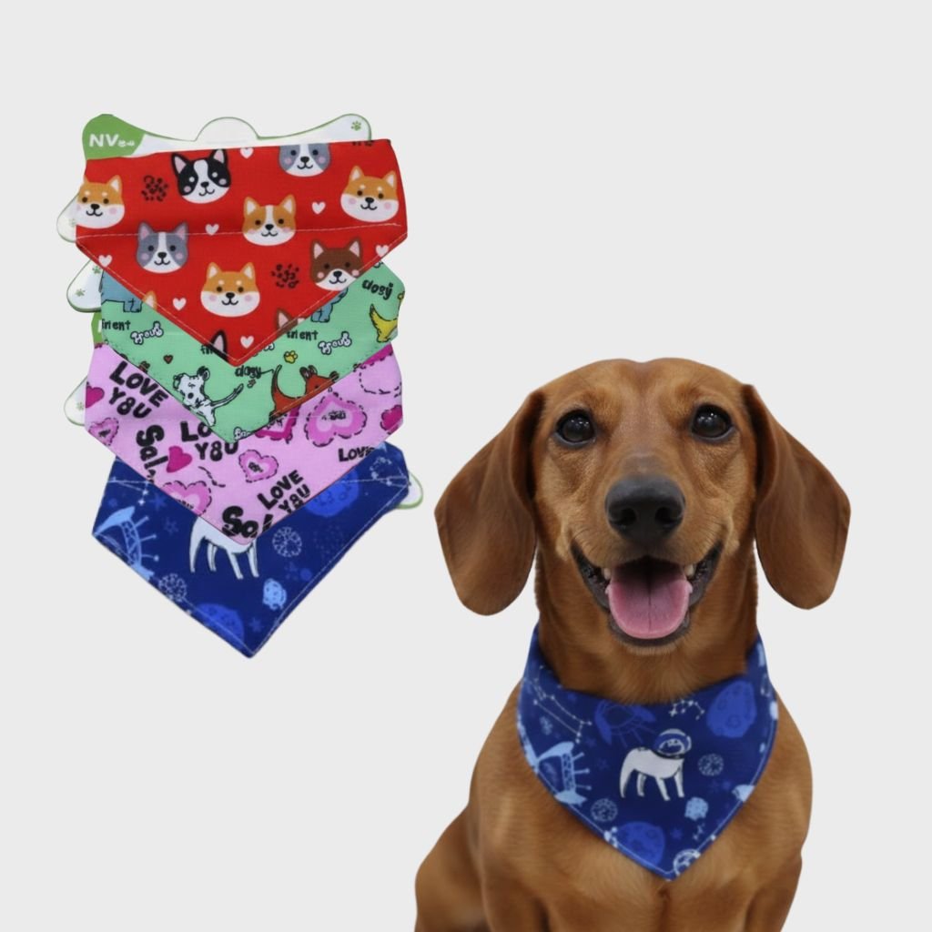 COLLAR REGULABLE CON BABERO PATITAS