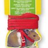 LW HAMSTER ARNES + CORREA HAMSTER/COBAYO
