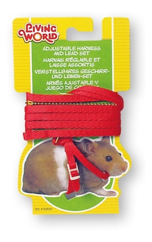 LW HAMSTER ARNES + CORREA HAMSTER/COBAYO