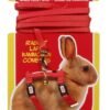 LW HAMSTER ARNES + CORREA CONEJO ROJO