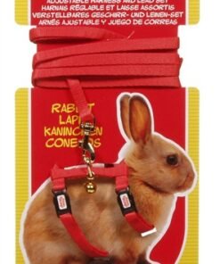 LW HAMSTER ARNES + CORREA CONEJO ROJO