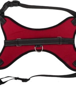 PRETAL TALLE 3 "TIPO K9" IMPORTADOR