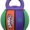 GIGWI JUMBALL RUBBER BASKETBALL COLORES