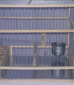 JAULIN PARA CARDENAL 31x21x21 ARIEL HT