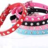 COLLAR P/GATO C/10 STRASS X 12 UN IMPORTADOR