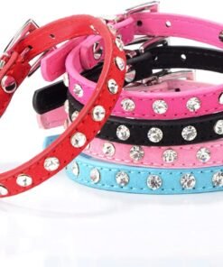 COLLAR P/GATO C/10 STRASS X 12 UN IMPORTADOR