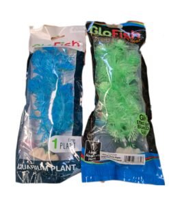 PLANTA GLOFISH GRANDE