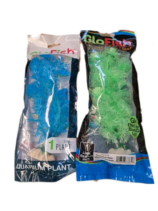 PLANTA GLOFISH GRANDE