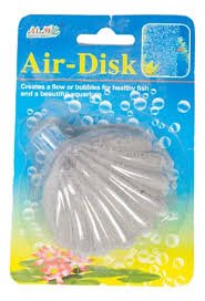 DIFUSORA OSTRA MEDIUM CHINESE