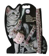 CONJ ANIMAL PRINT C/ OSITO P/GATO IMPORTADOR