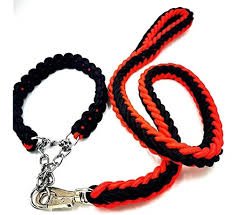 CORREA TRENZADA C/COLLAR 30MM IMPORTADOR