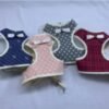 CONJUNTO ARNES PECHERA C/MOÑO L IMPORTADOR