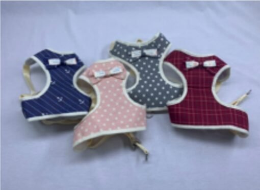 CONJUNTO ARNES PECHERA C/MOÑO L IMPORTADOR