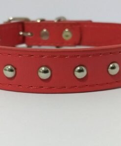 COLLAR CUERINA FINO C/12 TACHAS 35CM