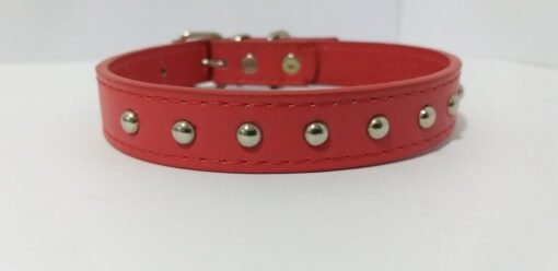 COLLAR CUERINA FINO C/12 TACHAS 35CM
