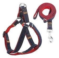 CONJUNTO CORREA Y ARNES DE JEAN N1