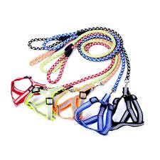 CONJUNTO CORREA/ARNES REFLEX TRENZ N°1