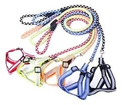 CONJUNTO CORREA/ARNES REFLEX TRENZ N°2