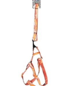 CONJUNTO CORREA Y ARNES 2.5CM 120 CM