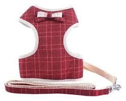 CONJUNTO ARNES PECHERA C/MOÑO L IMPORTADOR