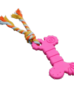 JUGUETE HUESITO GOMA C/SOGA IMPORTADOR