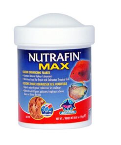 NUTRAFIN COLOR FLAKES 100ML 19GS