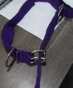 COLLAR NYLON ANCHO C/HEBILLA Y AGARRE KUBIAK