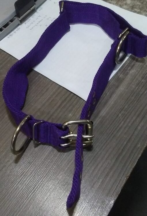 COLLAR NYLON ANCHO C/HEBILLA Y AGARRE KUBIAK
