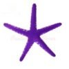 ADORNO SOFT ESTRELLA DE MAR IMPOR