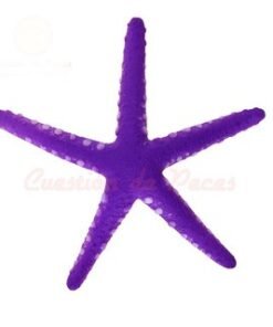 ADORNO SOFT ESTRELLA DE MAR IMPOR