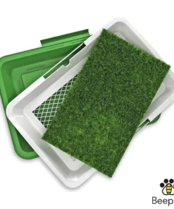 BEEPAW POTTY PATCH MEDIUM 6X41.5X4