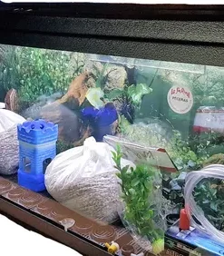 BASE PARA PLAFON 40 X 20 CM HT