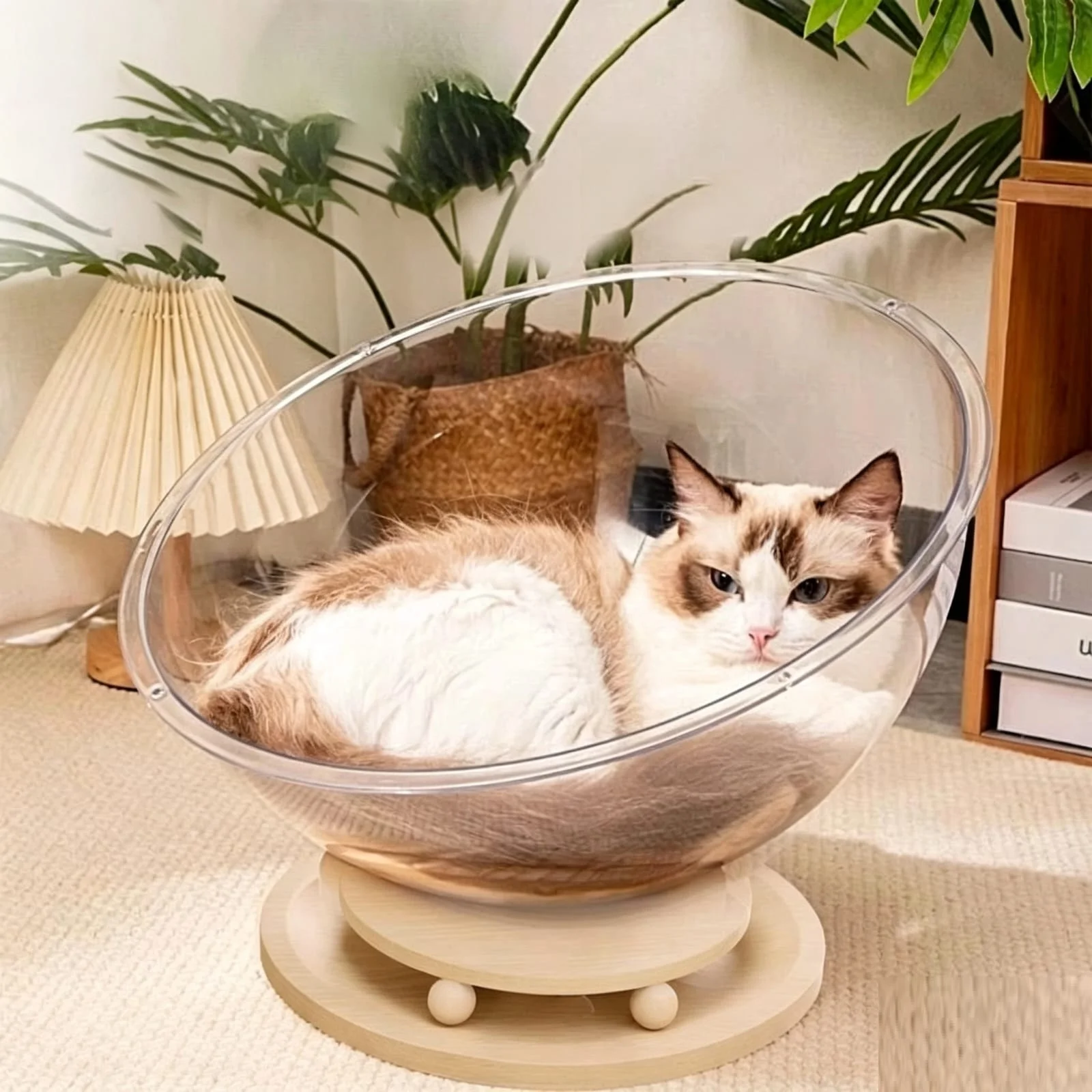 CAMA CAPSULA BOWL 37CM MPT HT IMPORTADOR - Imagen 2