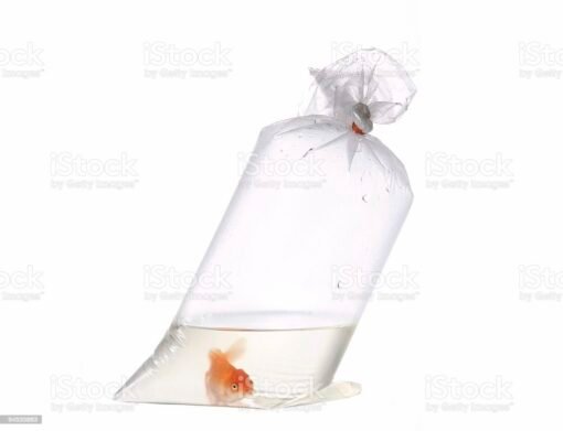 BOLSAS PECES GDES 20X 60 X 100 REFORZADA