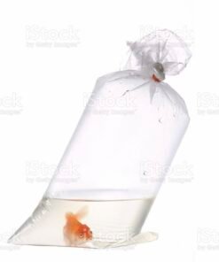 BOLSAS PECES MEDIANAS 20X45  100 REFORZADA