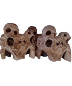 CUEVA CUATRO CARAS LENCINA HT