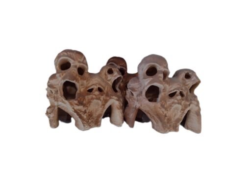 CUEVA CUATRO CARAS LENCINA HT