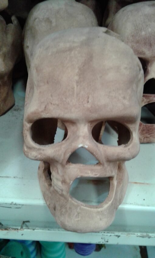 CALAVERA MEDIANA VERDE O MARRON FLUO